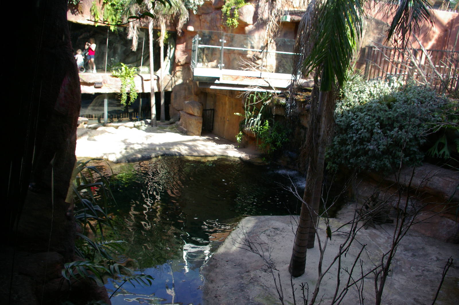 crocodile enclosure