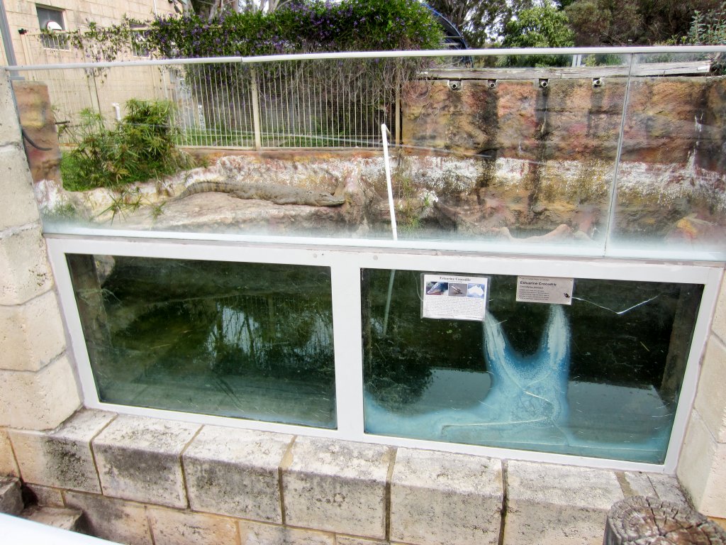Crocodile enclosure