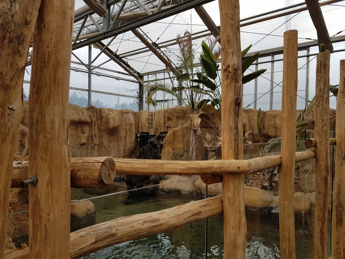 Crocodile-enclosure