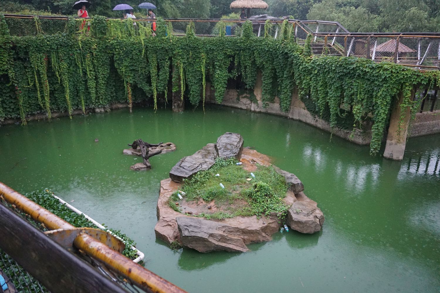 Crocodile enclosure