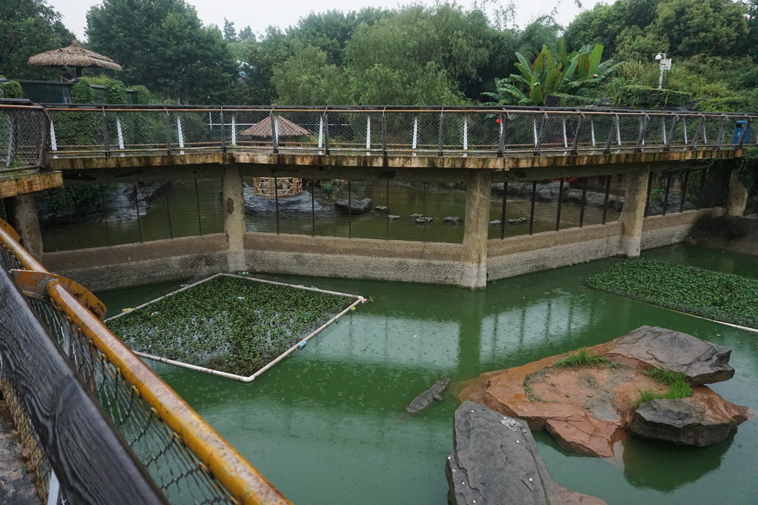 Crocodile enclosure
