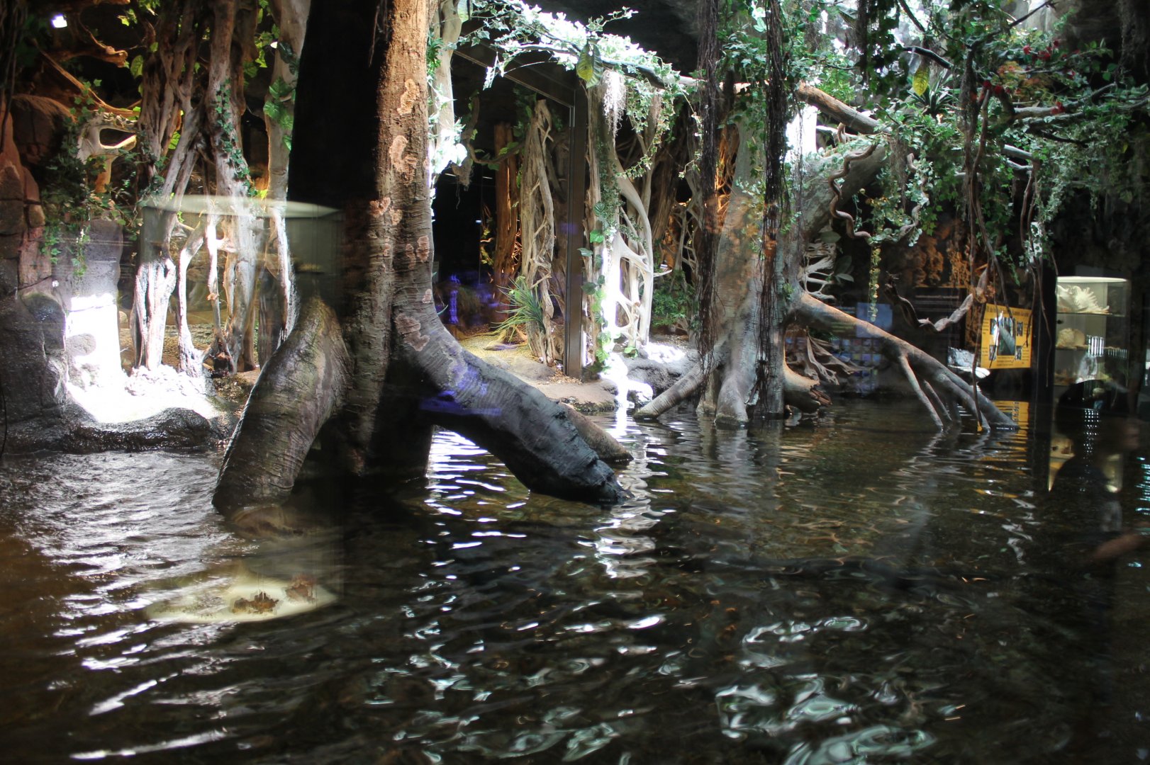 Crocodile Enclosure