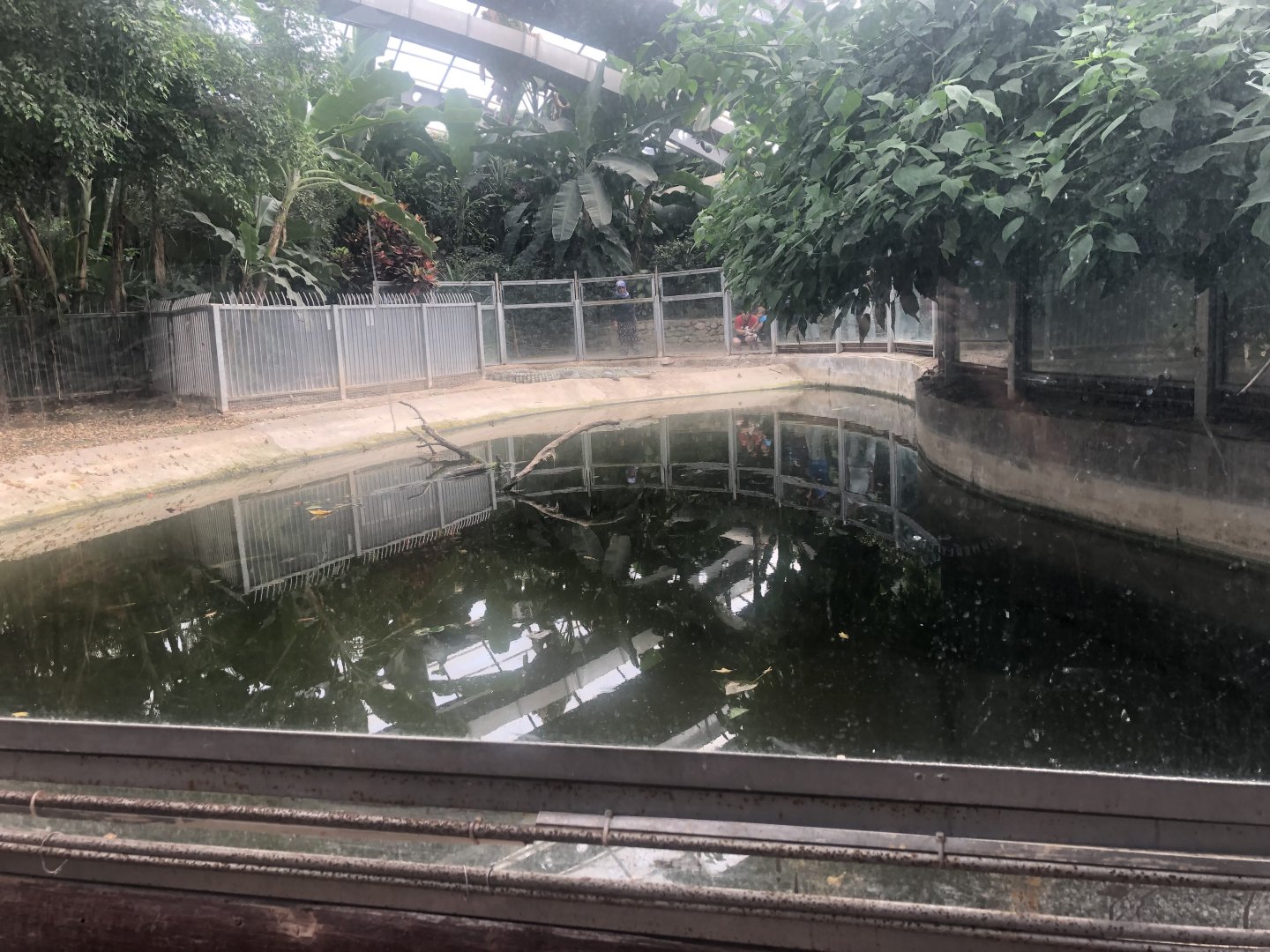 Crocodile enclosure