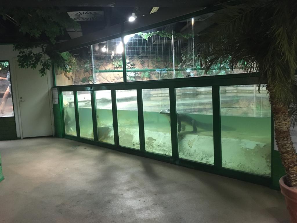 Crocodile enclosure