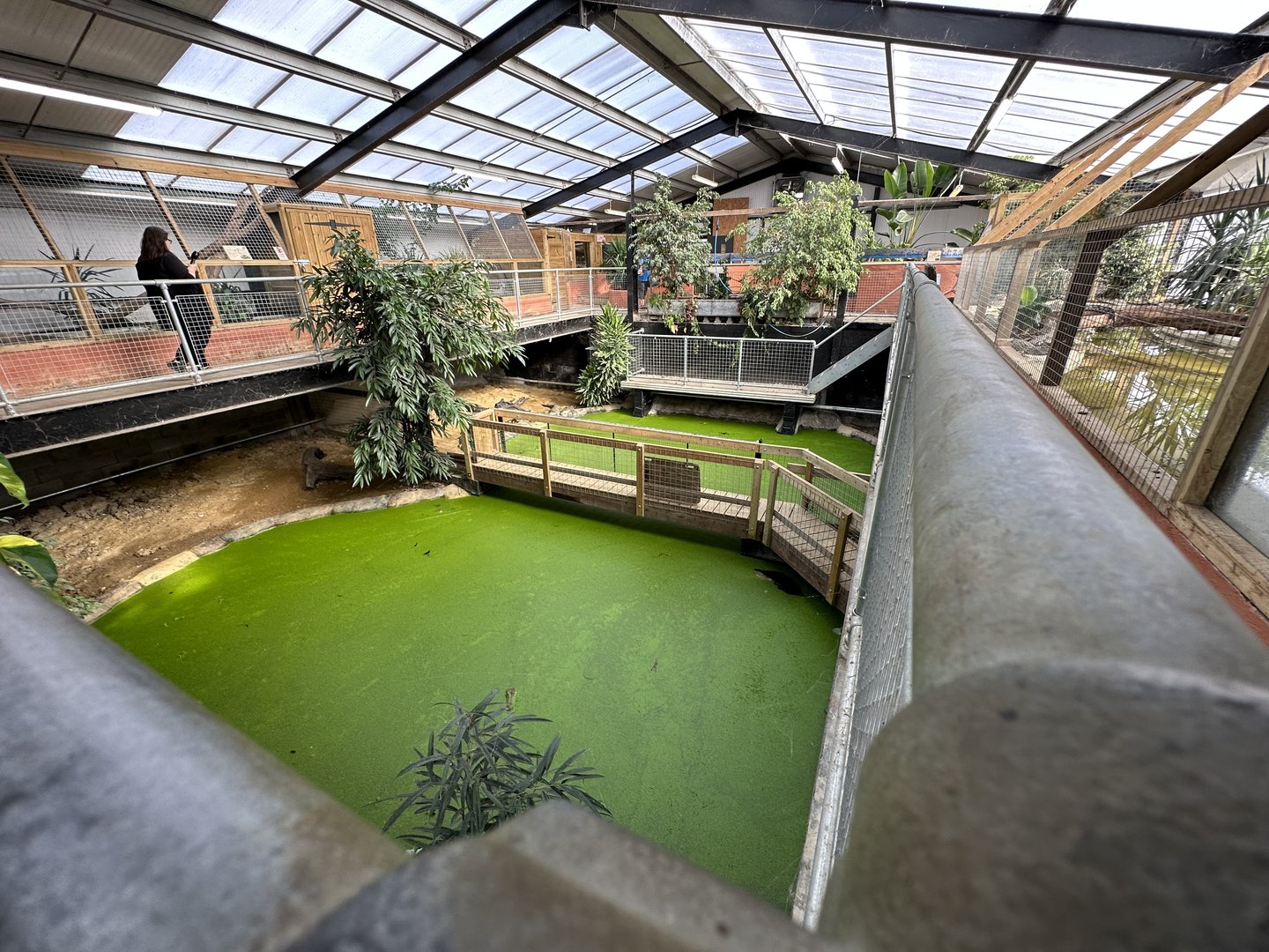 Crocodile Enclosures at Johnsons of Old Hurst (October 2023)