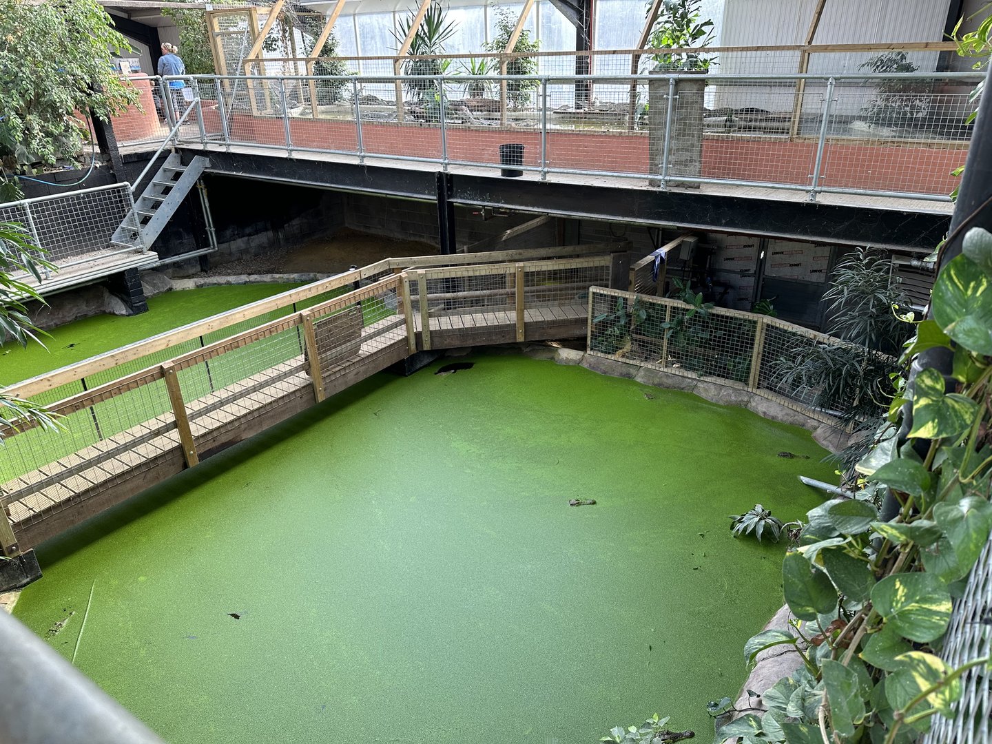 Crocodile Enclosures at Johnsons of Old Hurst (October 2023)