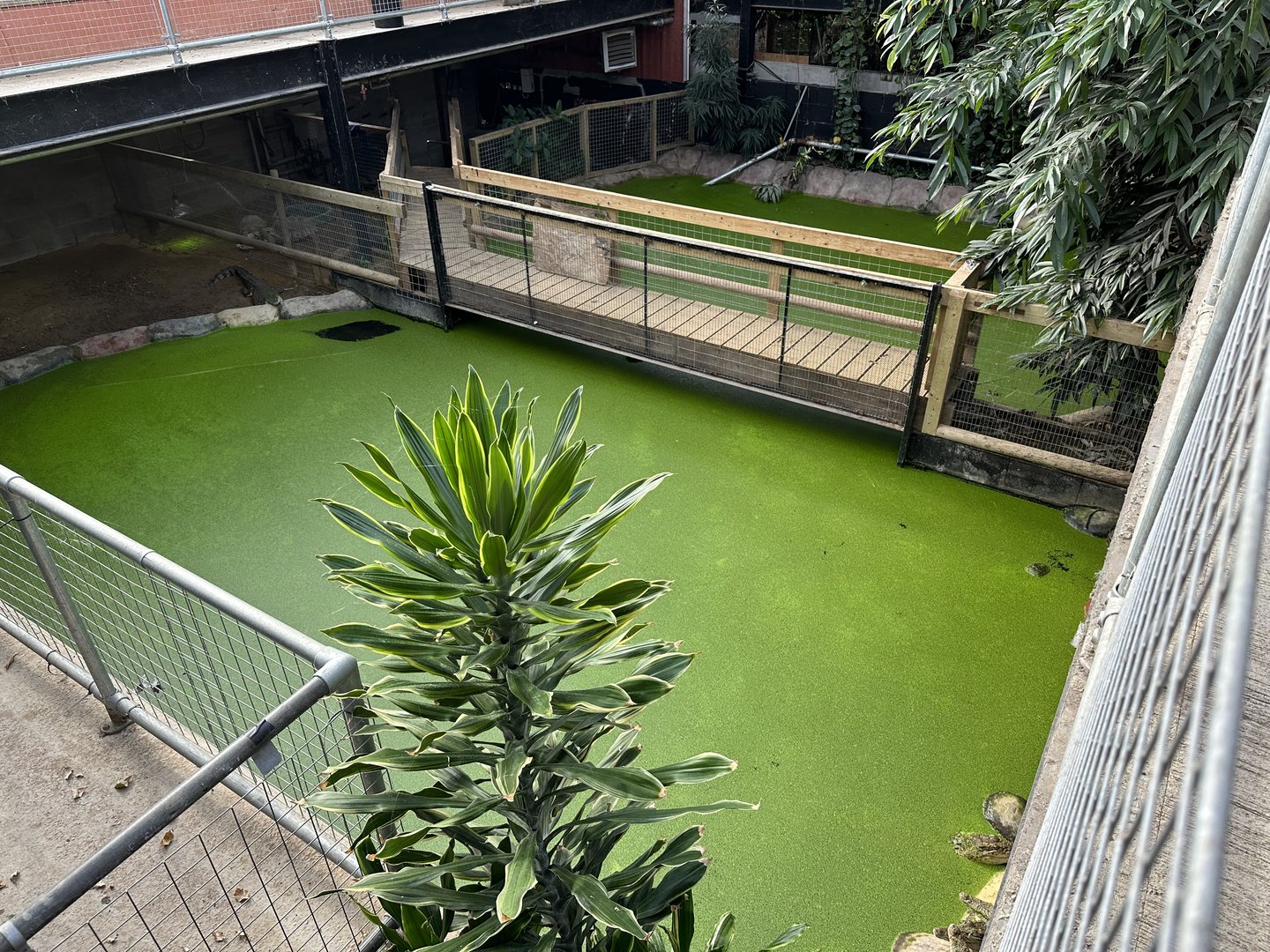 Crocodile Enclosures at Johnsons of Old Hurst (October 2023)