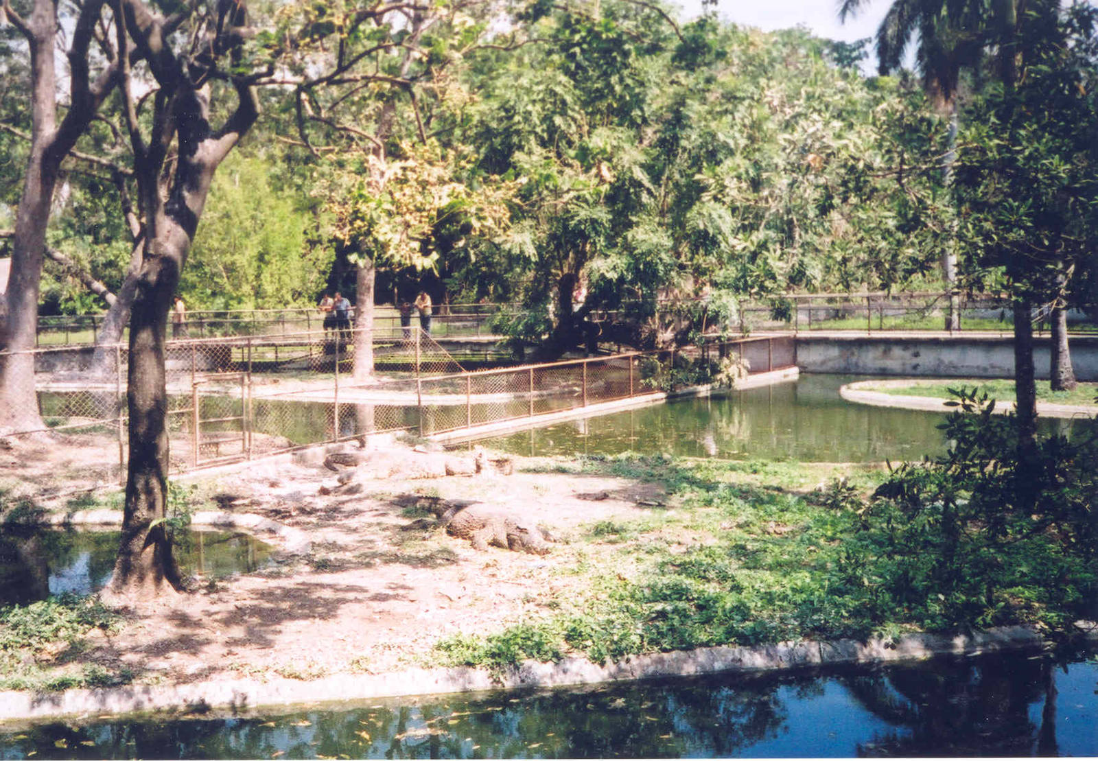 Crocodile Enclosures - Havana Zoo, Cuba 2004