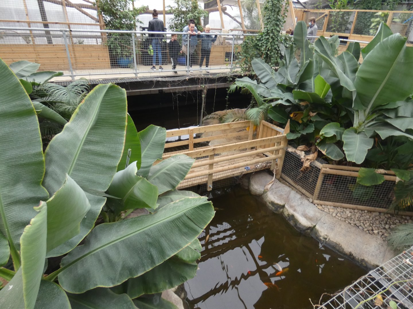 Crocodile enclosures (Johnson's of Old Hurst)