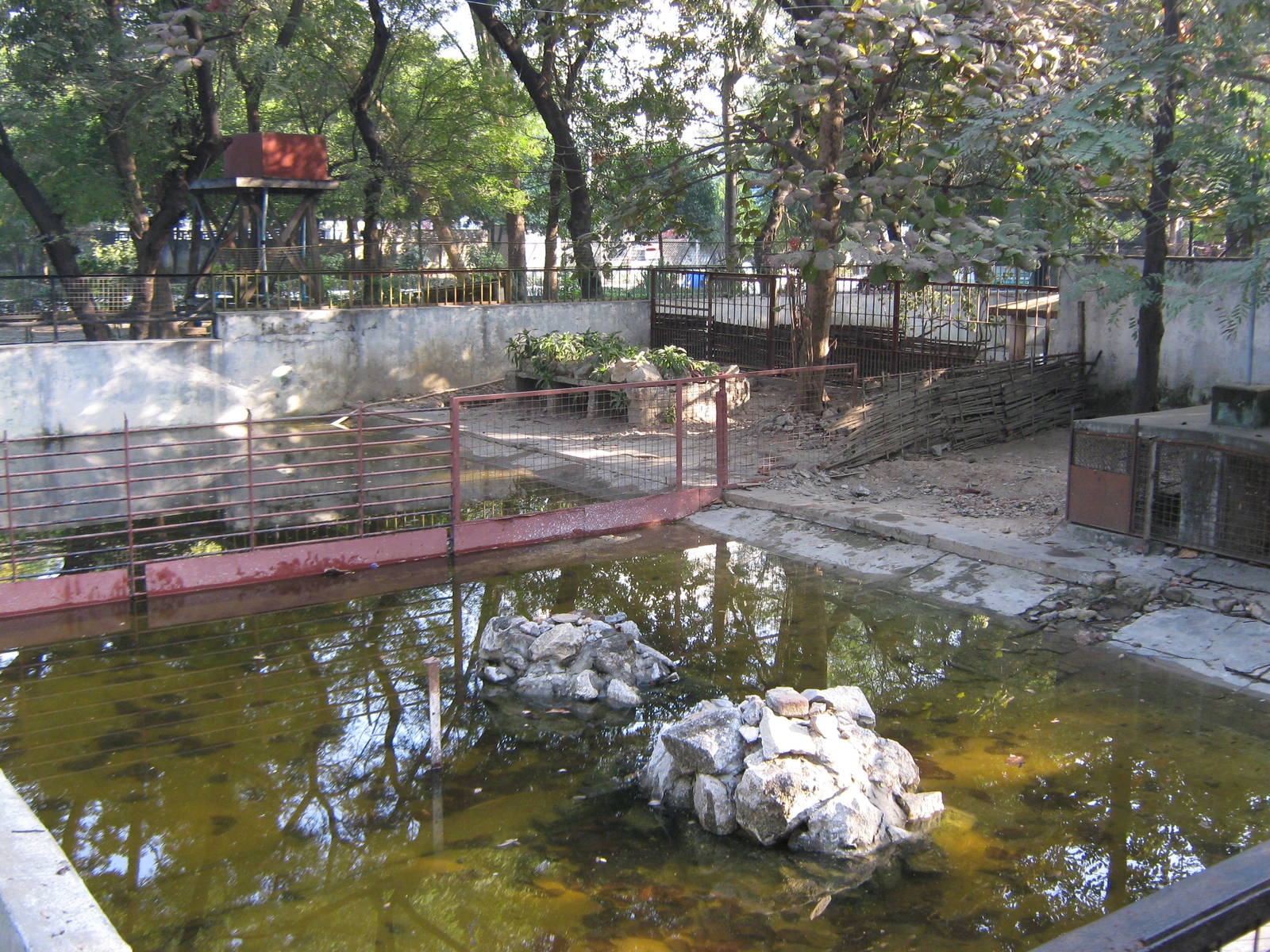 crocodile enclosures