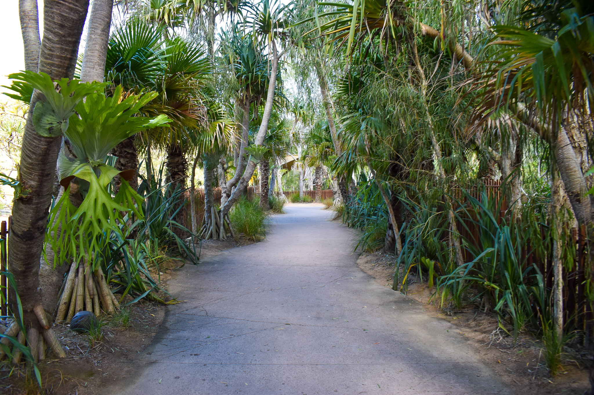 Crocodile Environmental Park - Pathway