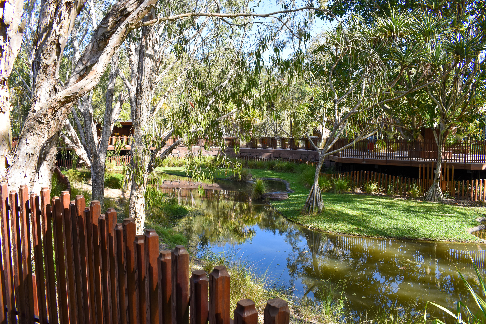 Crocodile Environmental Park - Saltwater Crocodile Enclosure