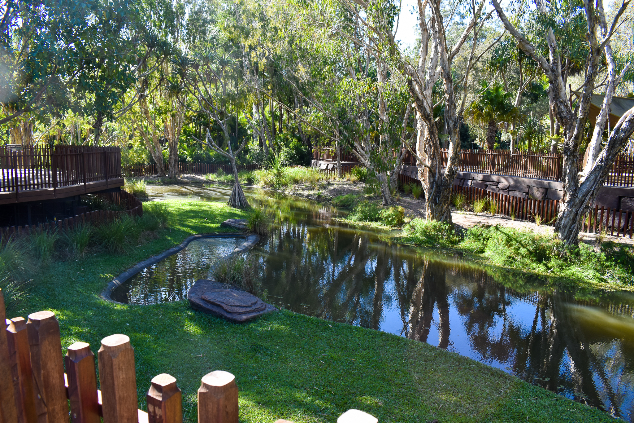 Crocodile Environmental Park - Saltwater Crocodile Enclosure