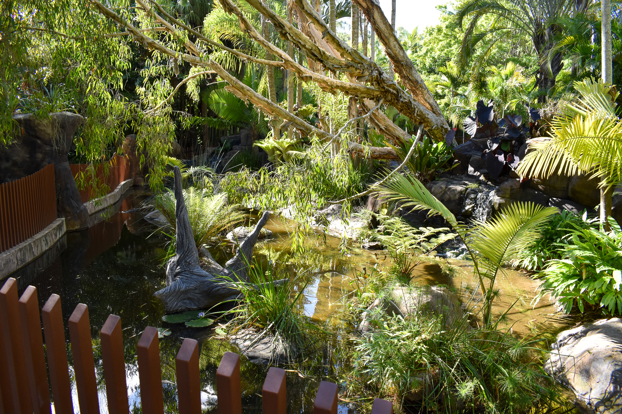 Crocodile Environmental Park - Turtle Enclosure