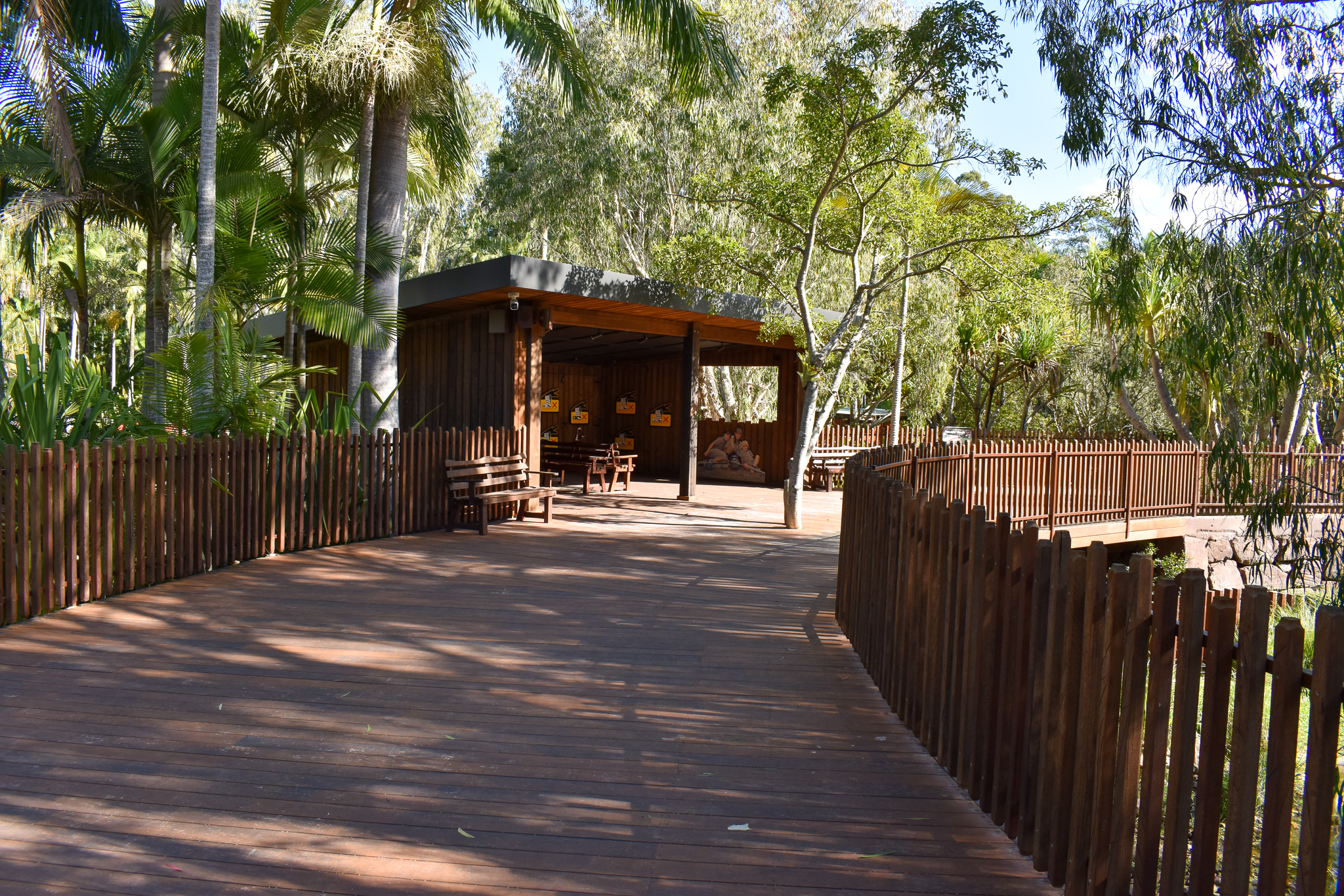 Crocodile Environmental Park - Viewing Area