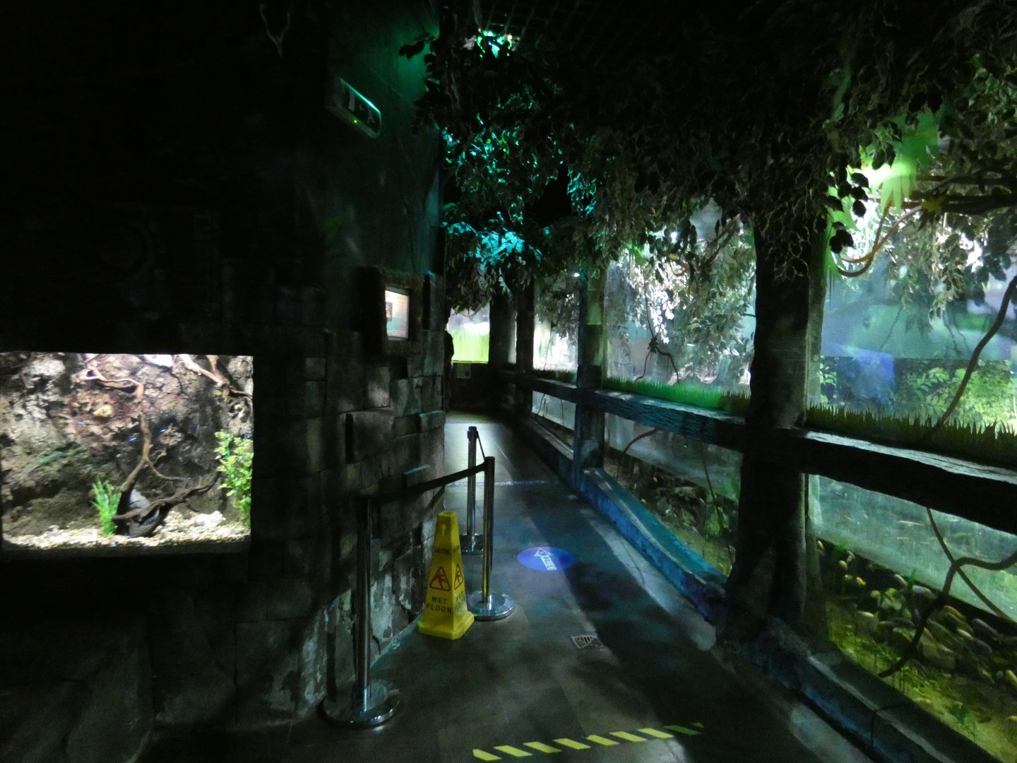 Crocodile exhibit area