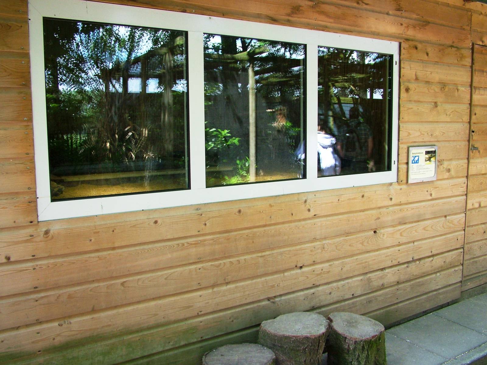 Crocodile Exhibit at Best, 02/06/12