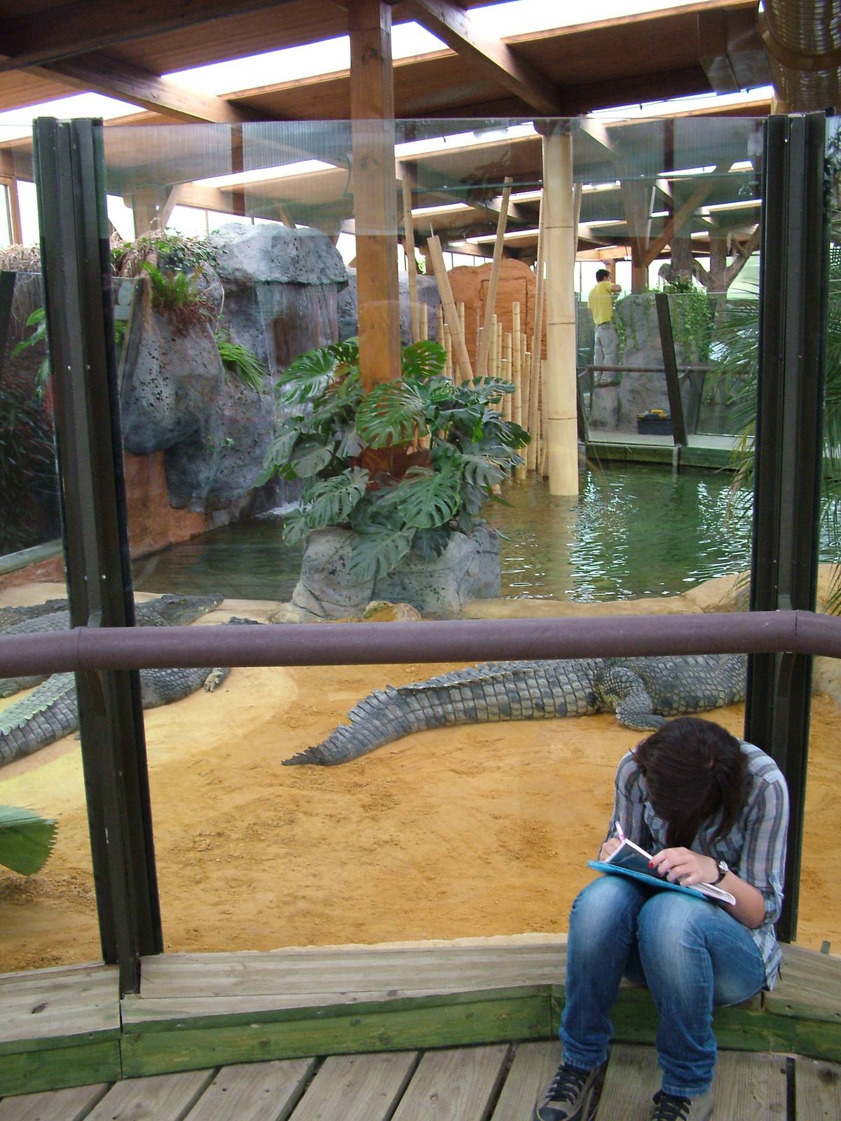 Crocodile Exhibit at Faunia, 27/05/11