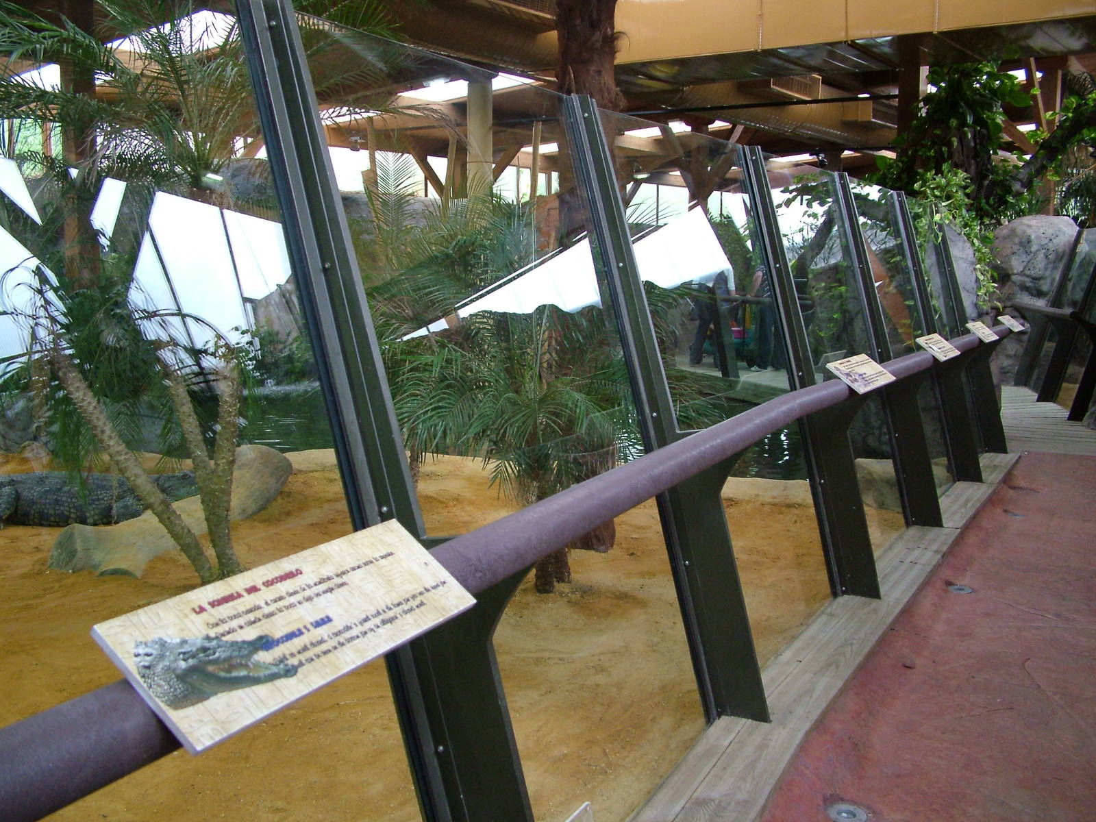 Crocodile Exhibit at Faunia, 27/05/11