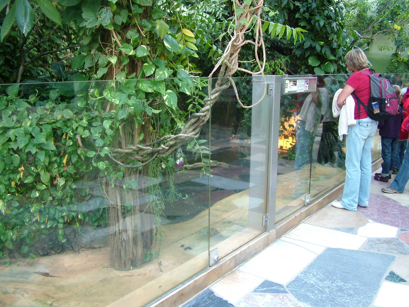 Crocodile Exhibit at Frankfurt 31/08/10