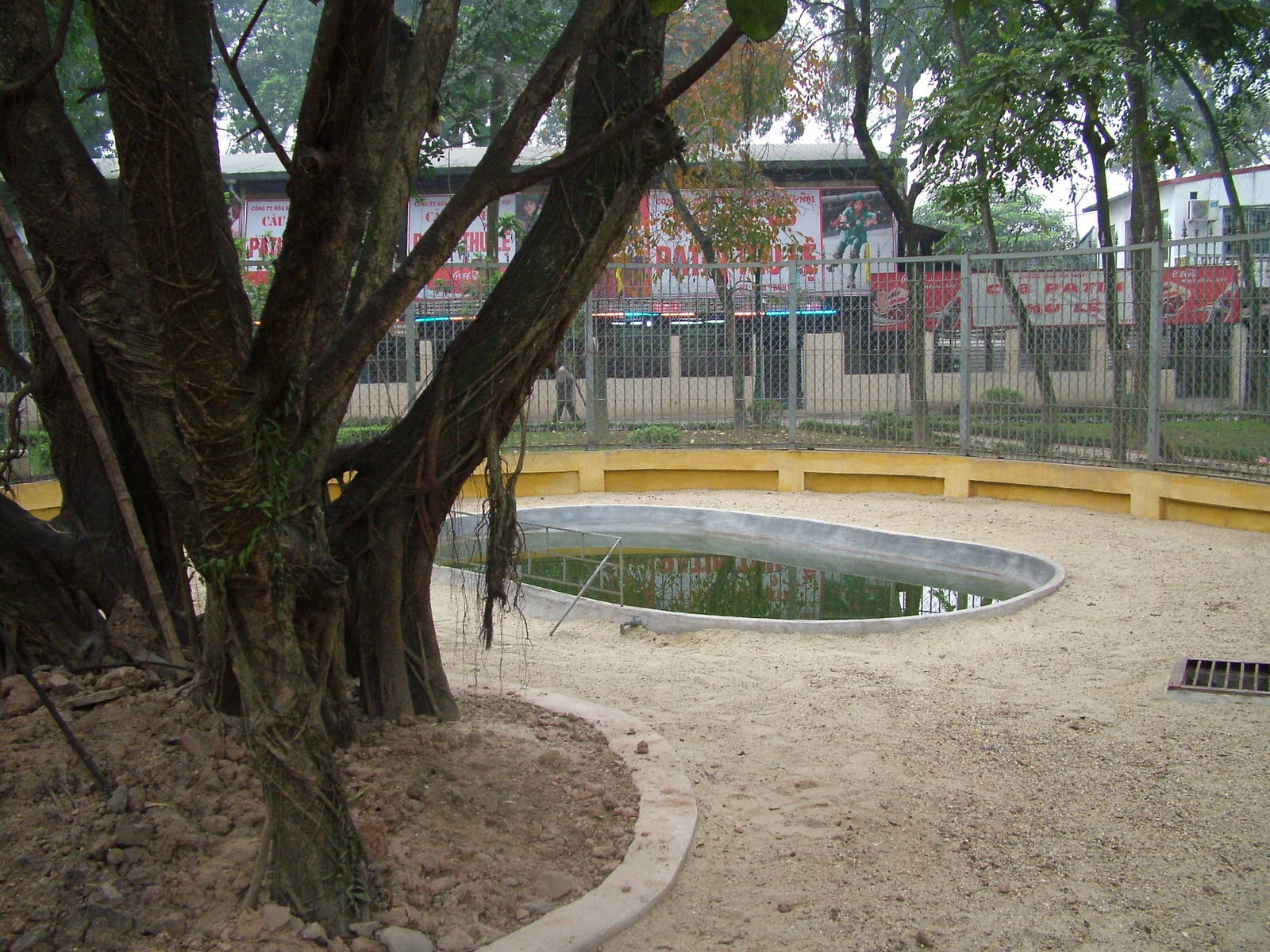 Crocodile Exhibit at Hanoi Zoo, 15/03/12