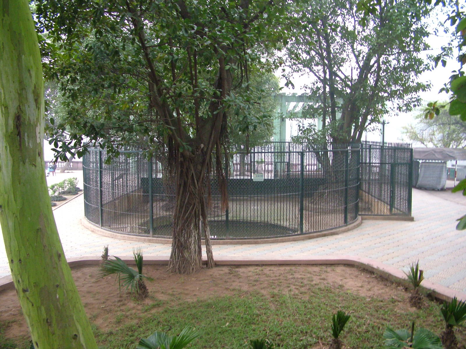 Crocodile Exhibit at Hanoi Zoo, 15/03/12