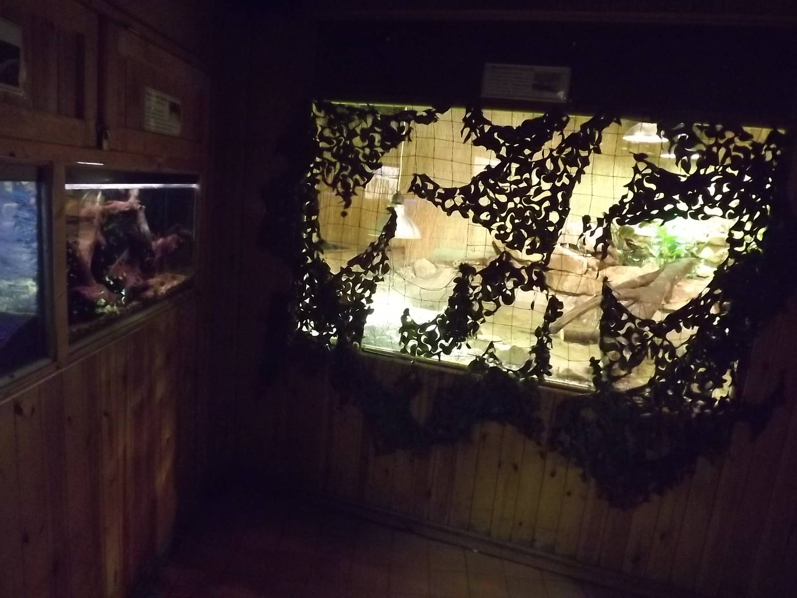 Crocodile exhibit at Knowsley Safari Park 08/09/12