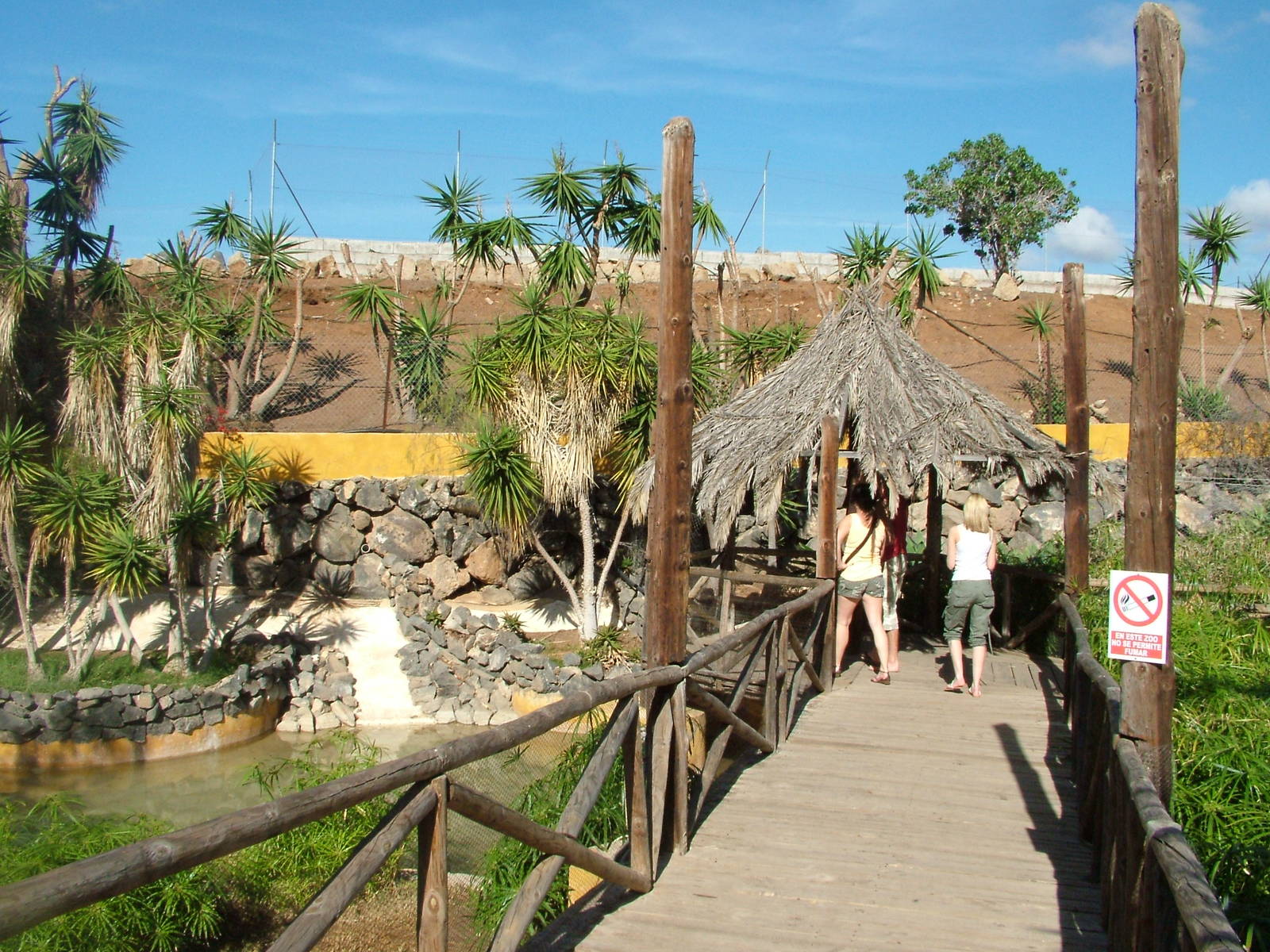 Crocodile Exhibit at Monkey Park, 09/11/10