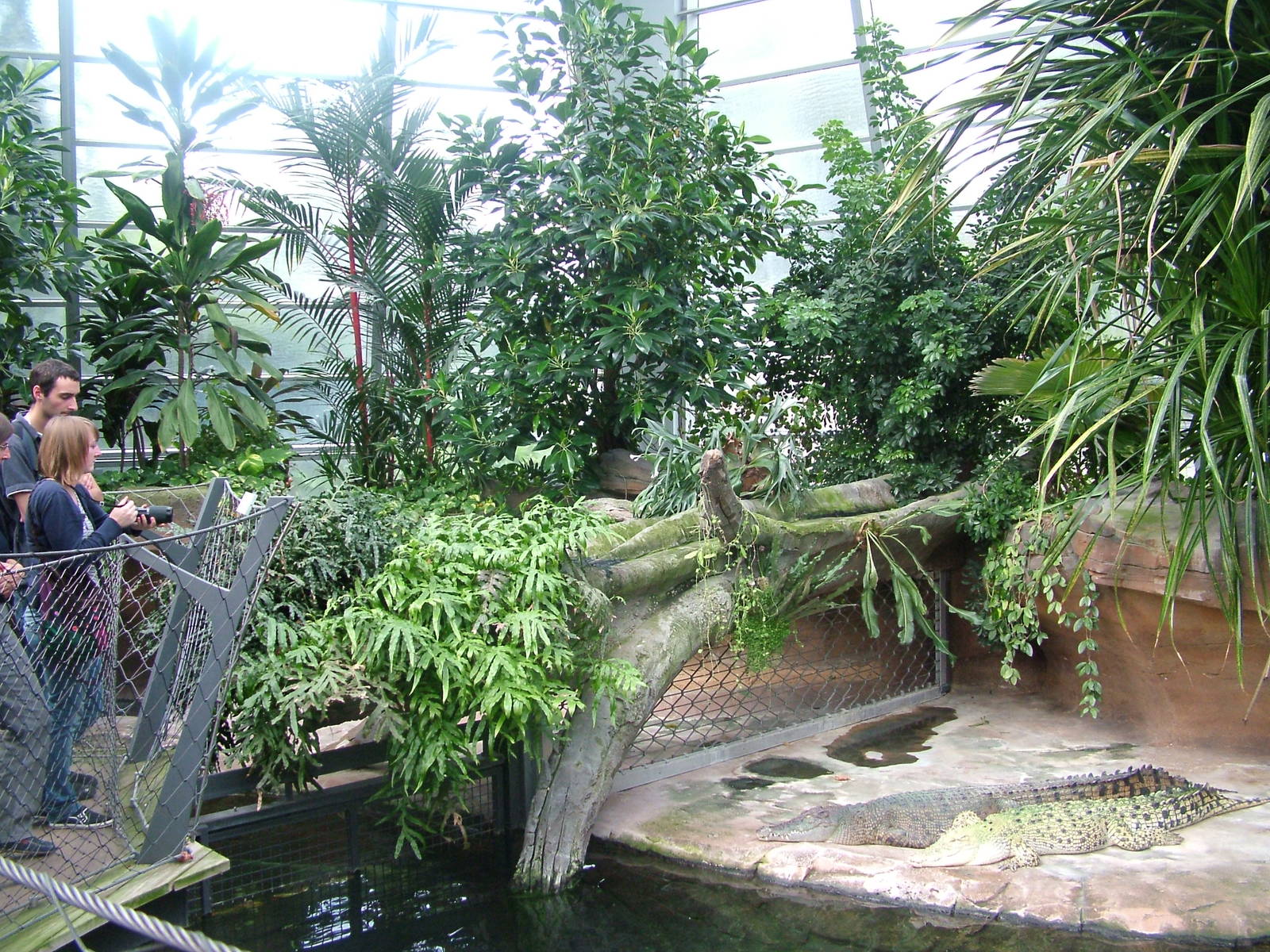 Crocodile Exhibit at Wilhelma, Stuttgart 02/09/10