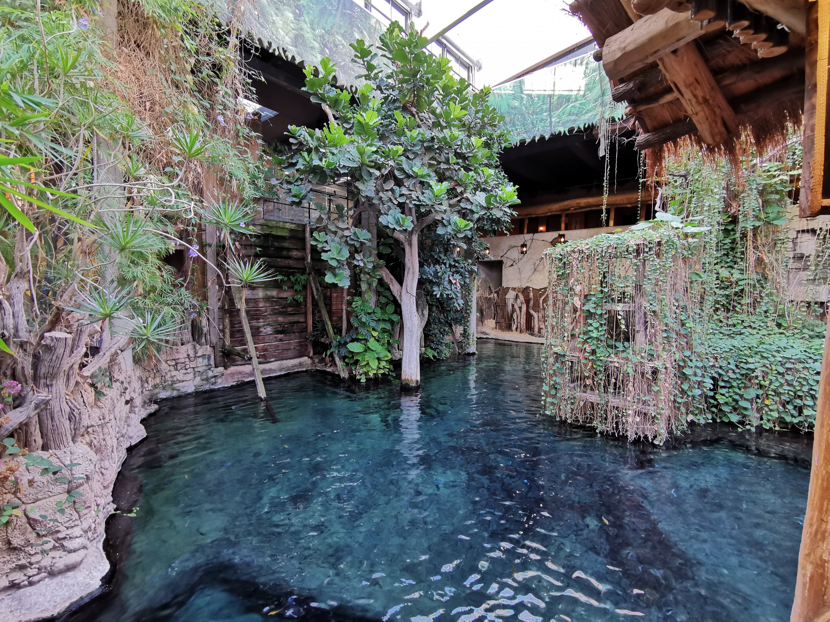 Crocodile exhibit - Tropen-Aquarium