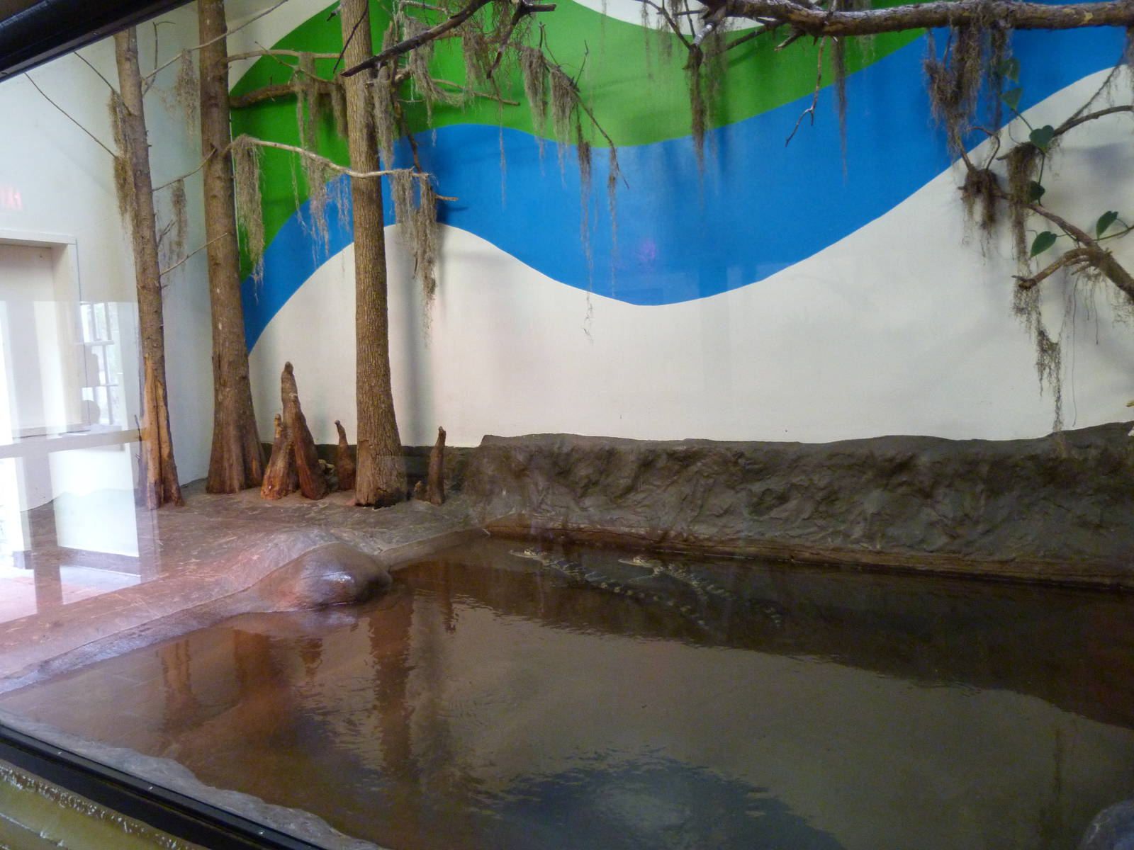 Crocodile Exhibit