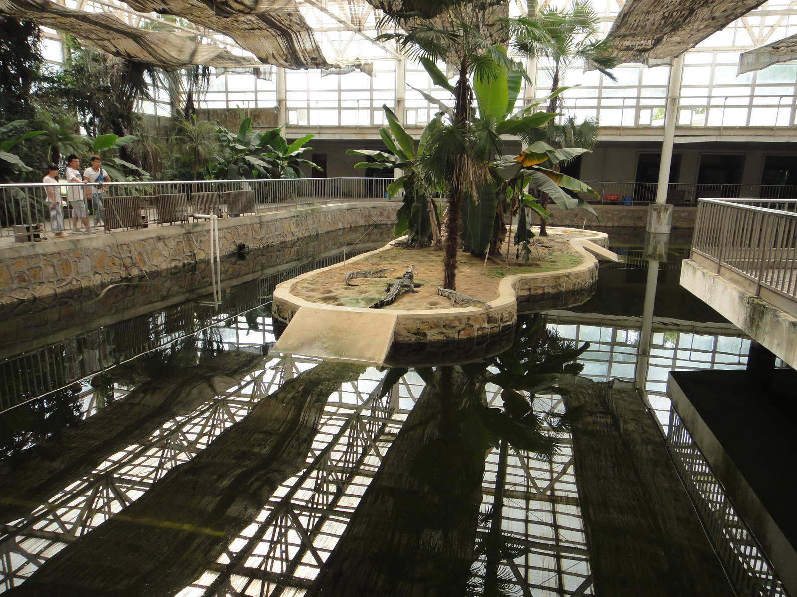 Crocodile exhibit