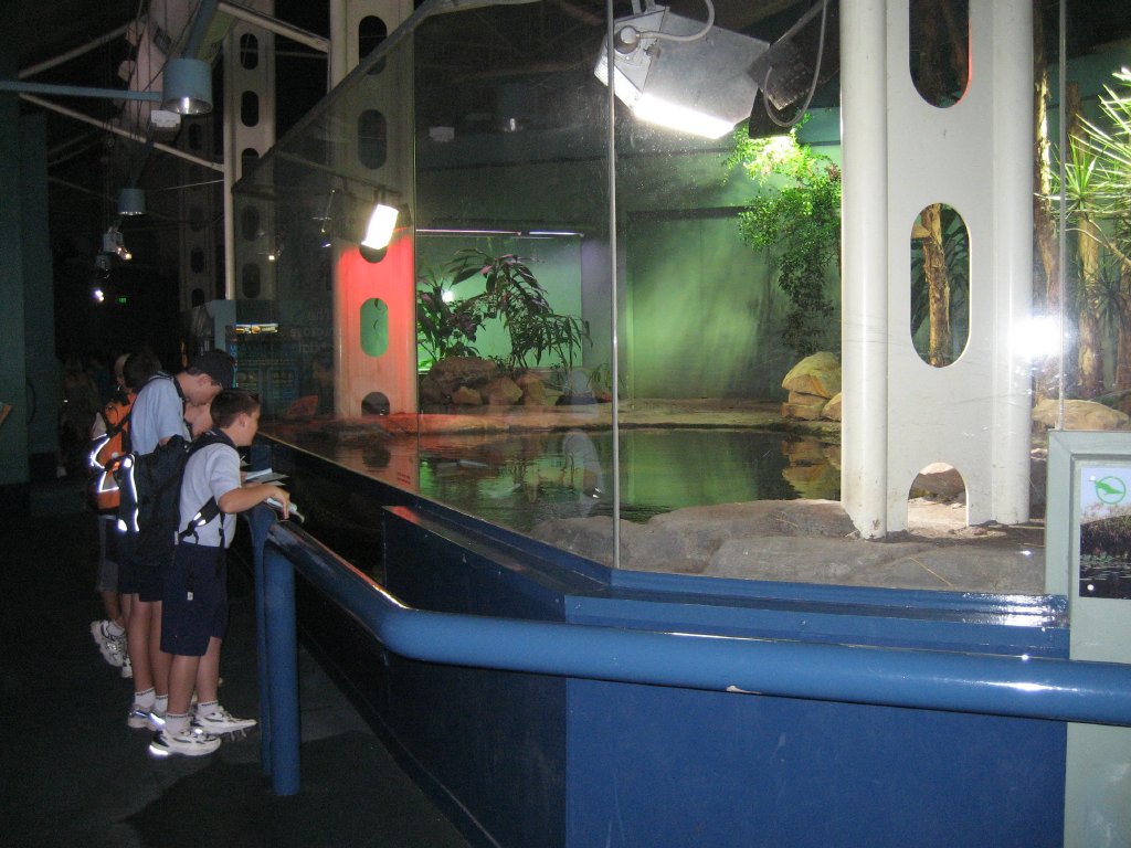 Crocodile Exhibit