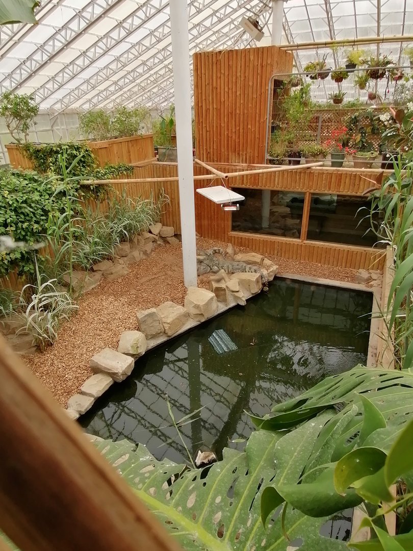 Crocodile exhibit