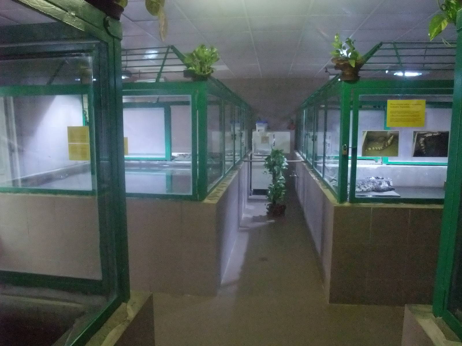 Crocodile exhibits at Protivin Crocodile Zoo, 26/05/10