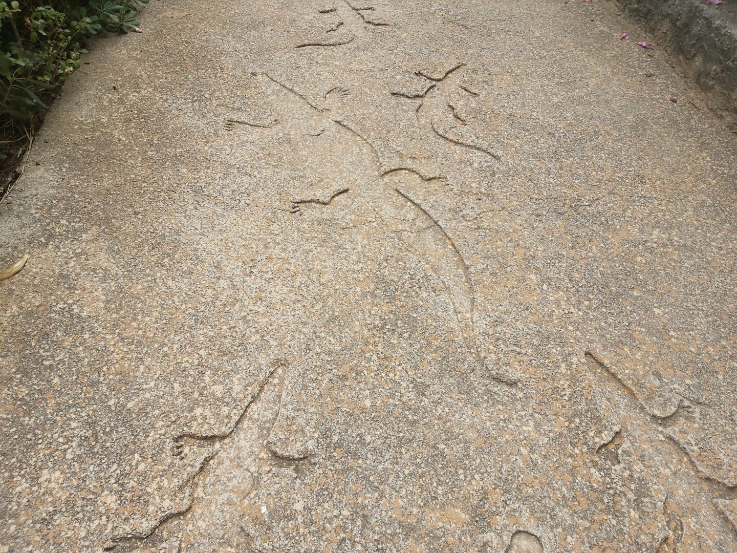 Crocodile figures on pathway