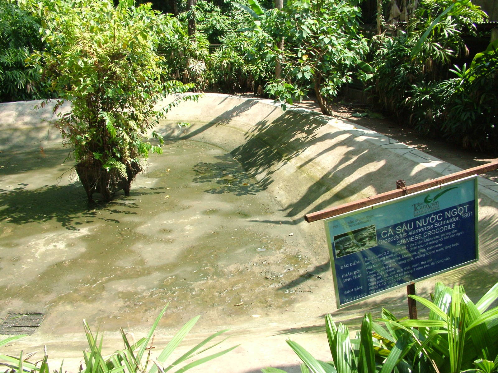 Crocodile Gardens at Saigon Zoo, 16/03/12