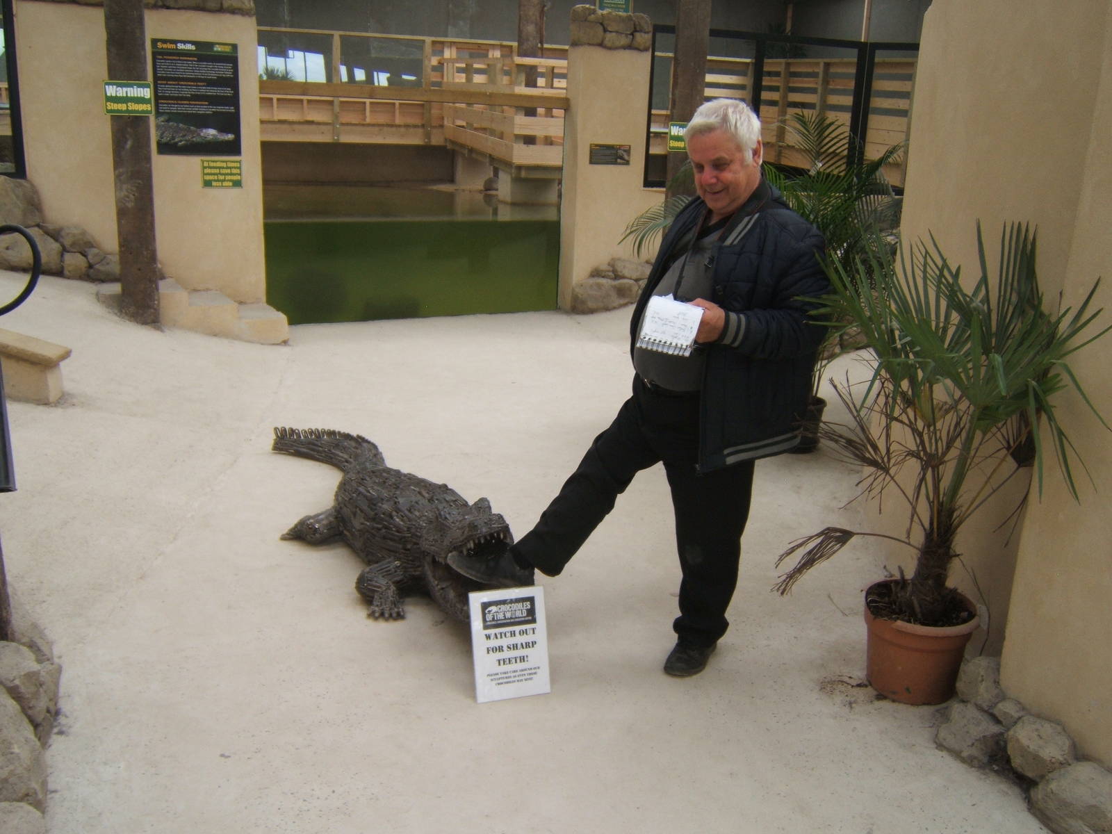 Crocodile gets Bongorob