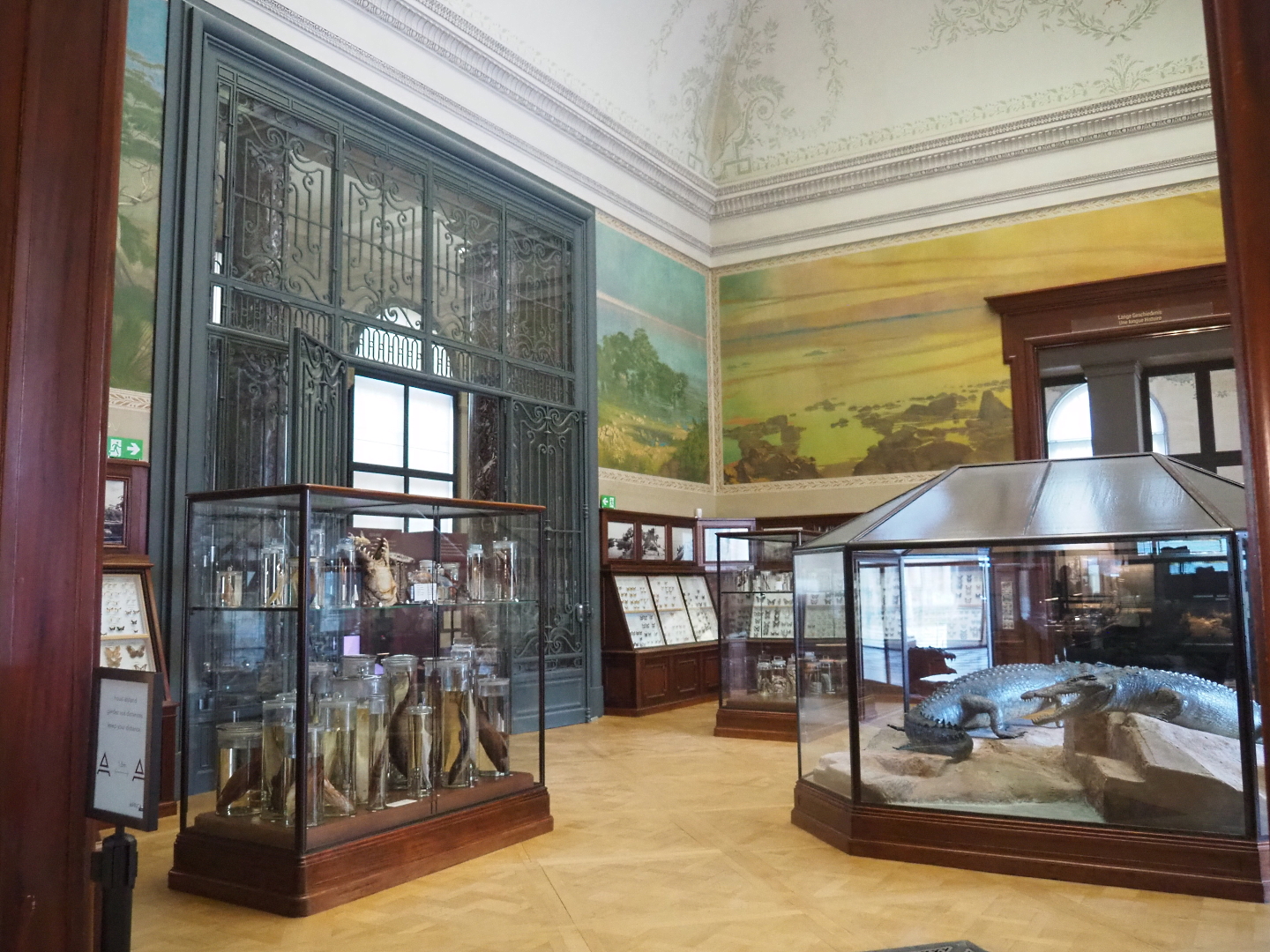 Crocodile Hall, 2021-10-20