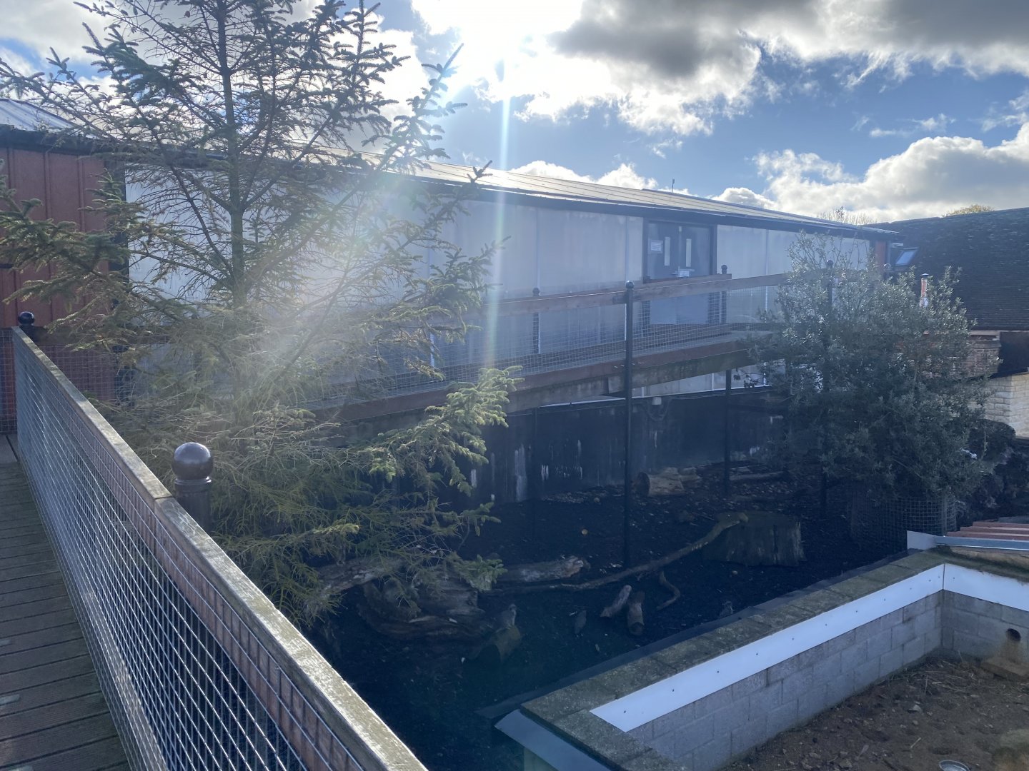 Crocodile House 021125