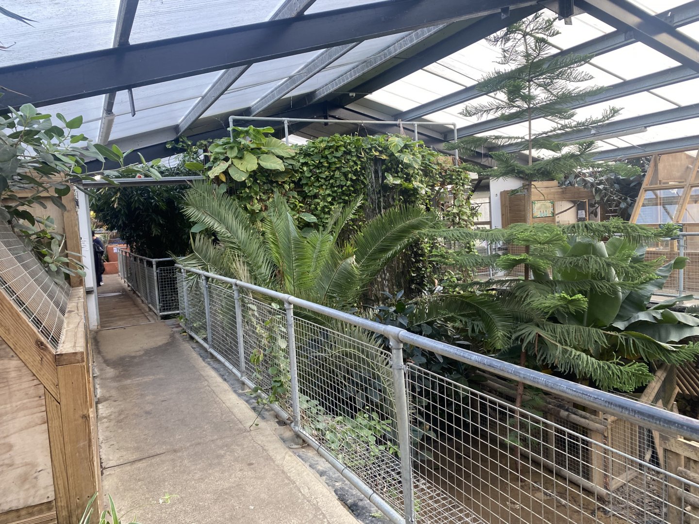 Crocodile House 021125