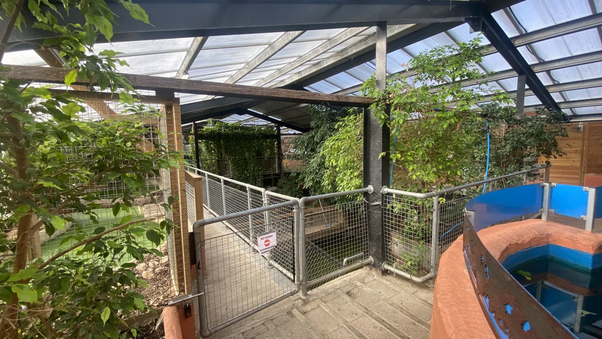 Crocodile House 021125