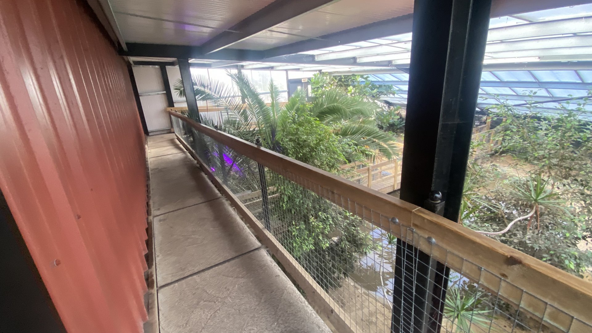 Crocodile House 021125