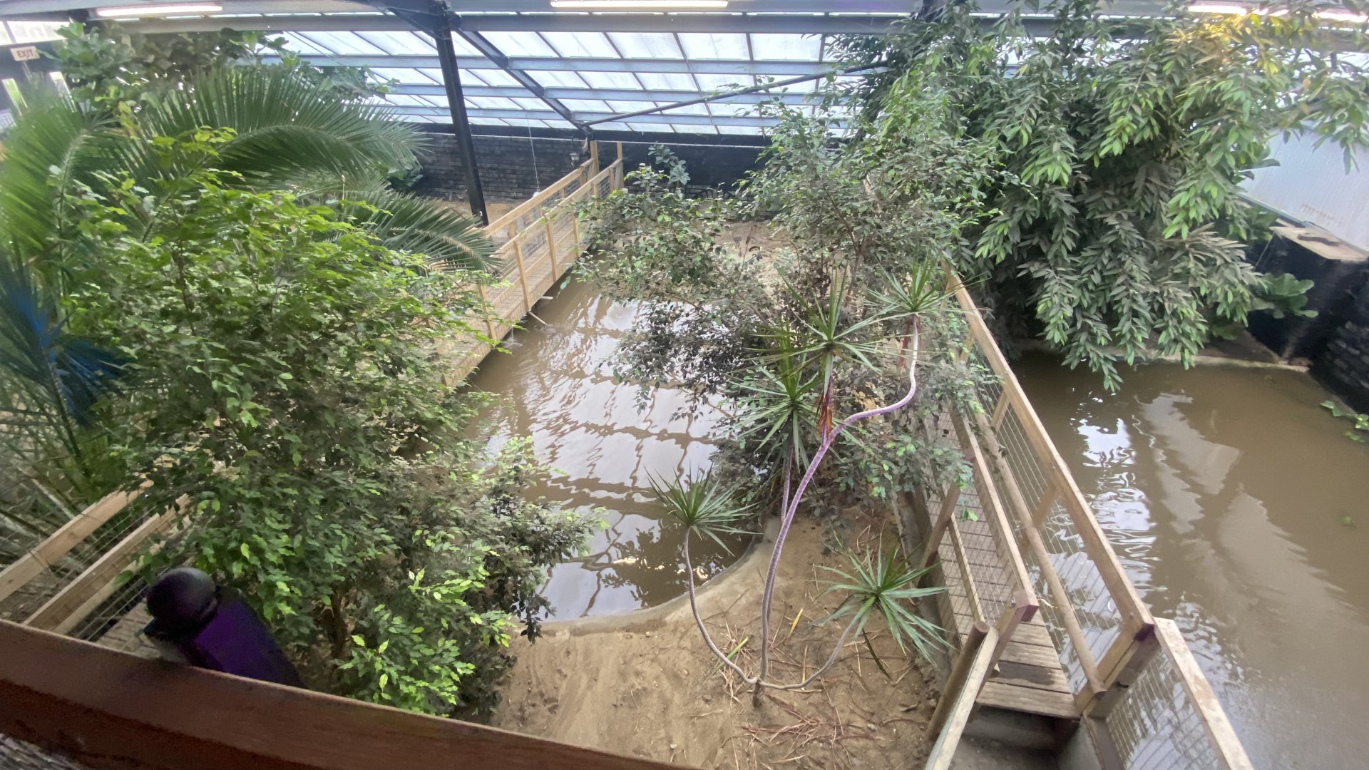 Crocodile House - American alligator exhibit 021125