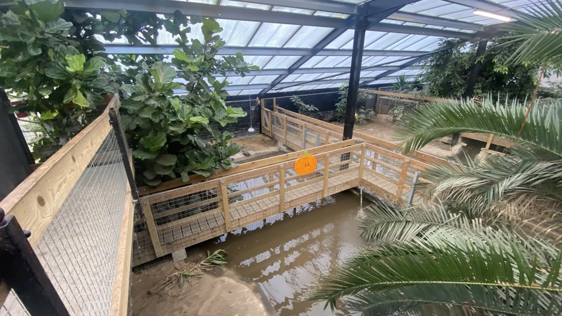 Crocodile House - American alligator exhibit 021125