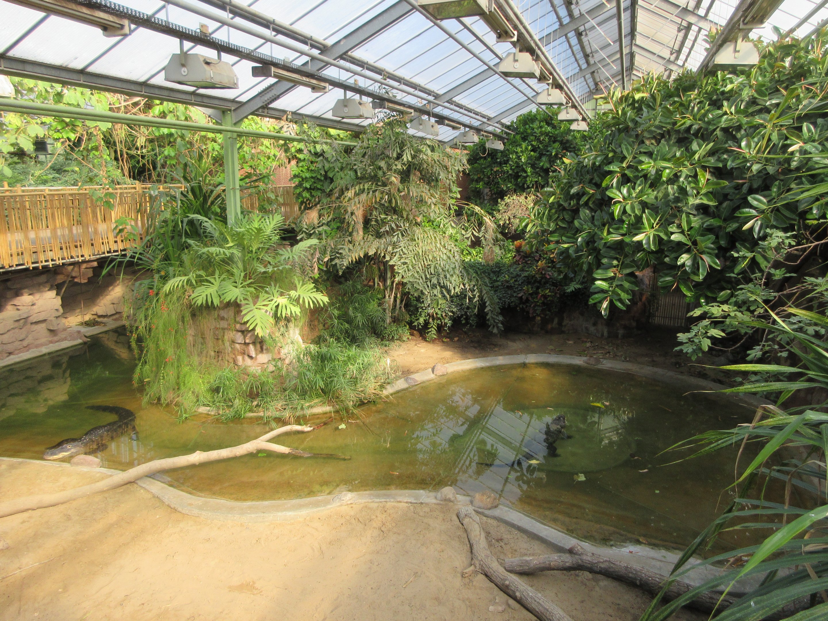 Crocodile House - American Alligator Exhibit