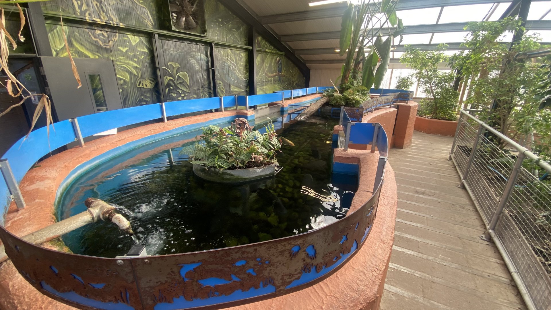 Crocodile House Aquatic exhibit 021125