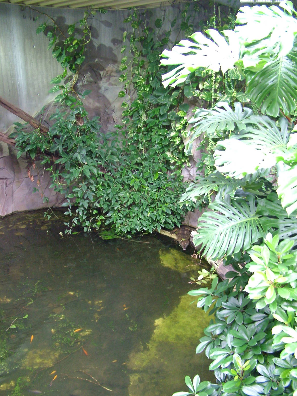 Crocodile House at Halle, 04/09/11