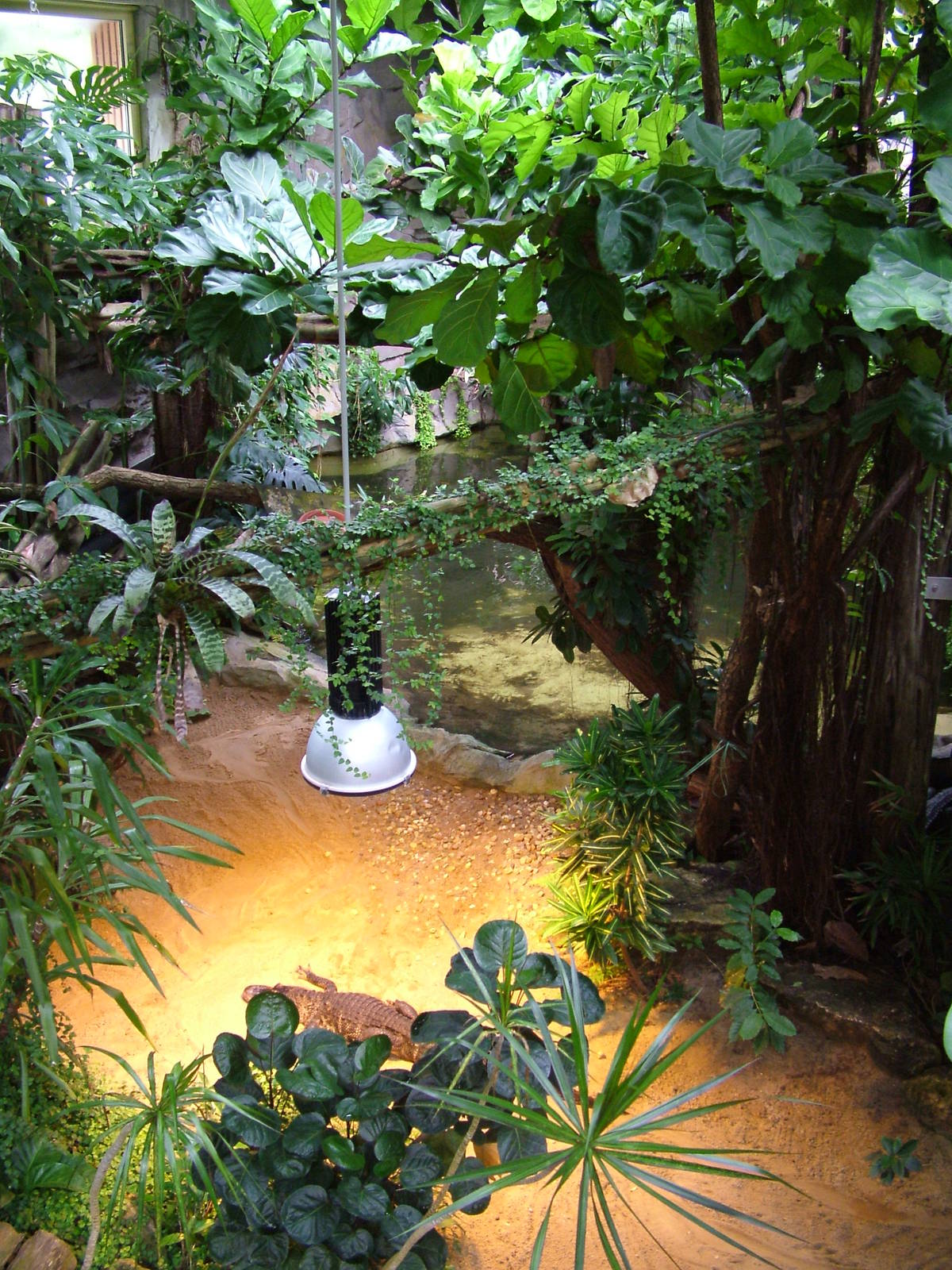 Crocodile House at Halle, 04/09/11