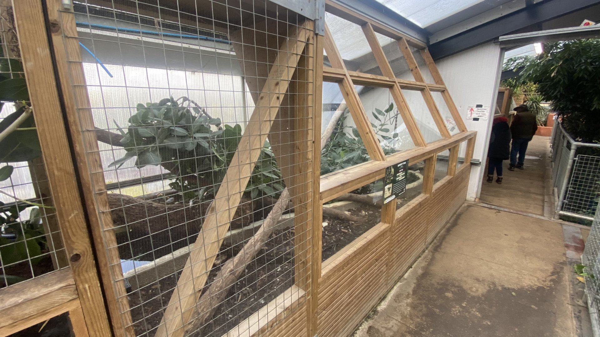 Crocodile House - Burmese python exhibit 021125